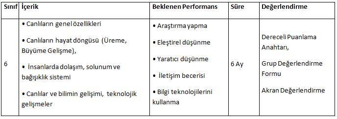 6-performans-1