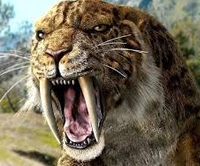 Smilodon