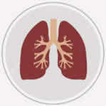 Akciğer