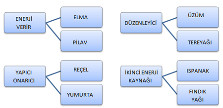 besinler-ozellik-soru