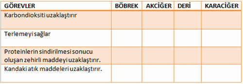 bosaltim-sistemi-soru