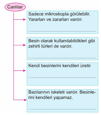 canlılar-5-soru