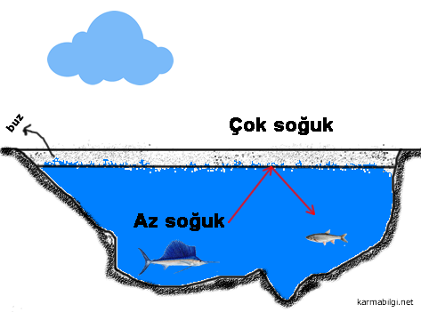 donmuş göl