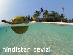 hindistan-cevizi