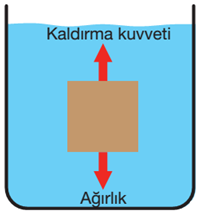 kaldirma-kuvveti-1