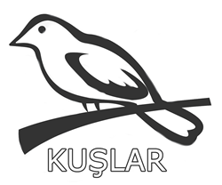 kuslar