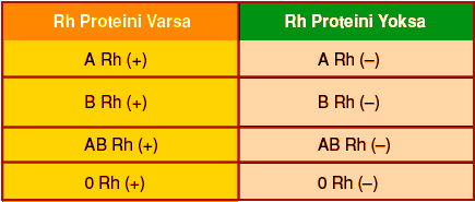 Rh faktörü