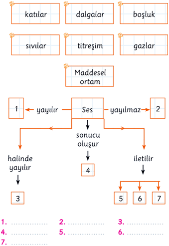 ses kavram haritası soru