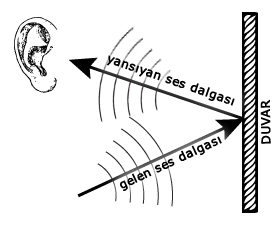 Sesin yansıması