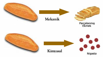 Mekanik ve kimyasal sindirim