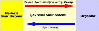 Uyartı Mesajı