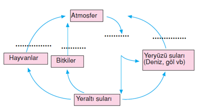 su döngüsü