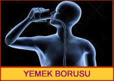 yemek-borusu